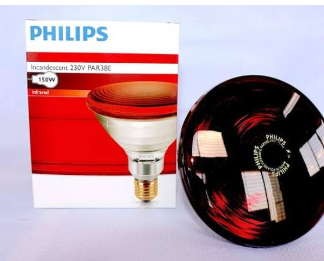 Philips infrared bulb